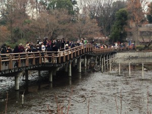 橋の上に多数の見物客